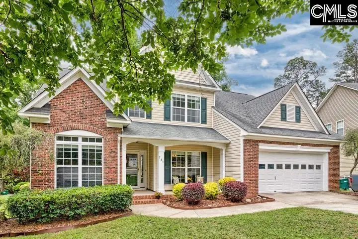 234 Winterberry Loop, Lexington, SC 29072 - #2