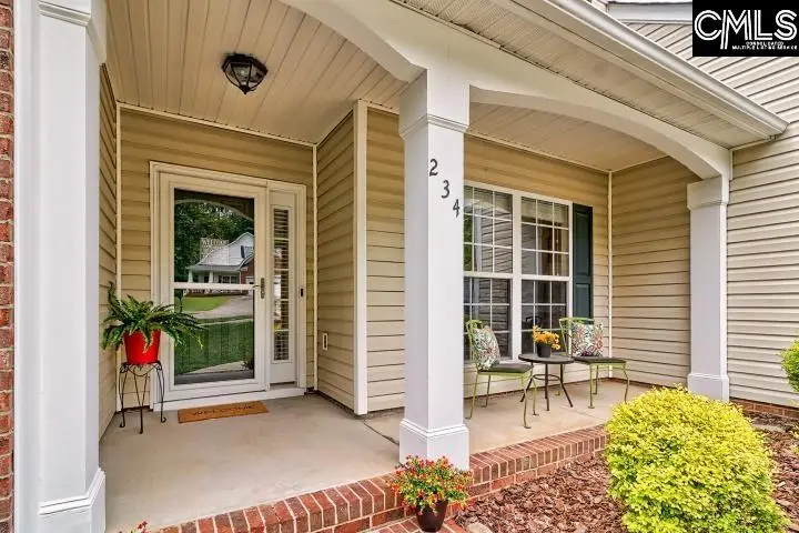 234 Winterberry Loop, Lexington, SC 29072 - #3