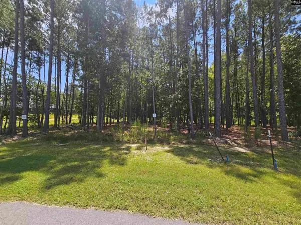 Lot 6 Stewart Landing Drive #6, Prosperity, SC 29127
