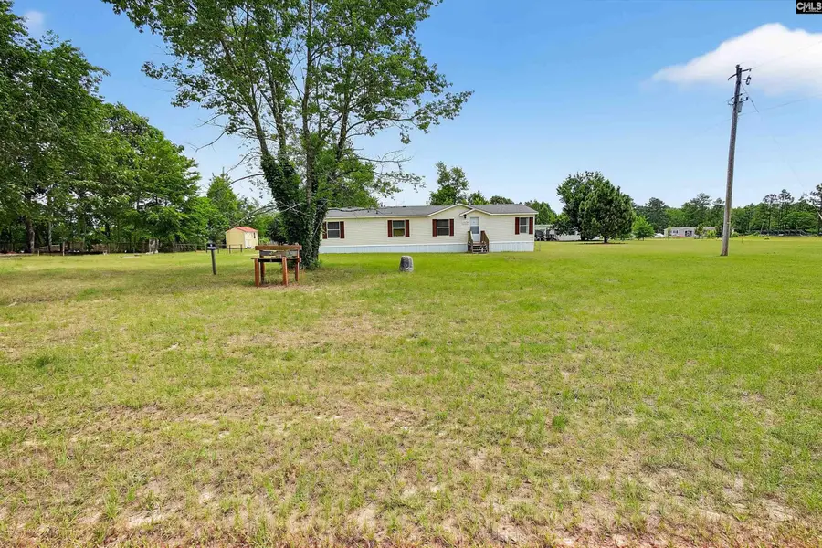 1379 Track Road Road, Pelion, SC 29123 - #3