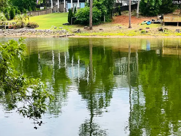 tbd Lake Drive, Leesville, SC 29070