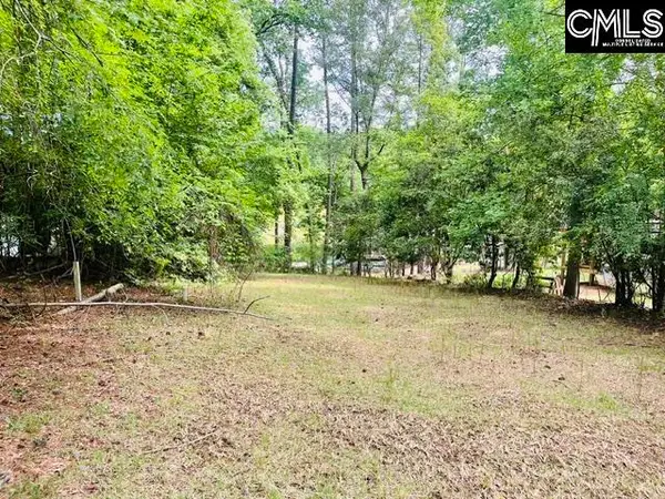 1179 Lake Drive, Leesville, SC 29070