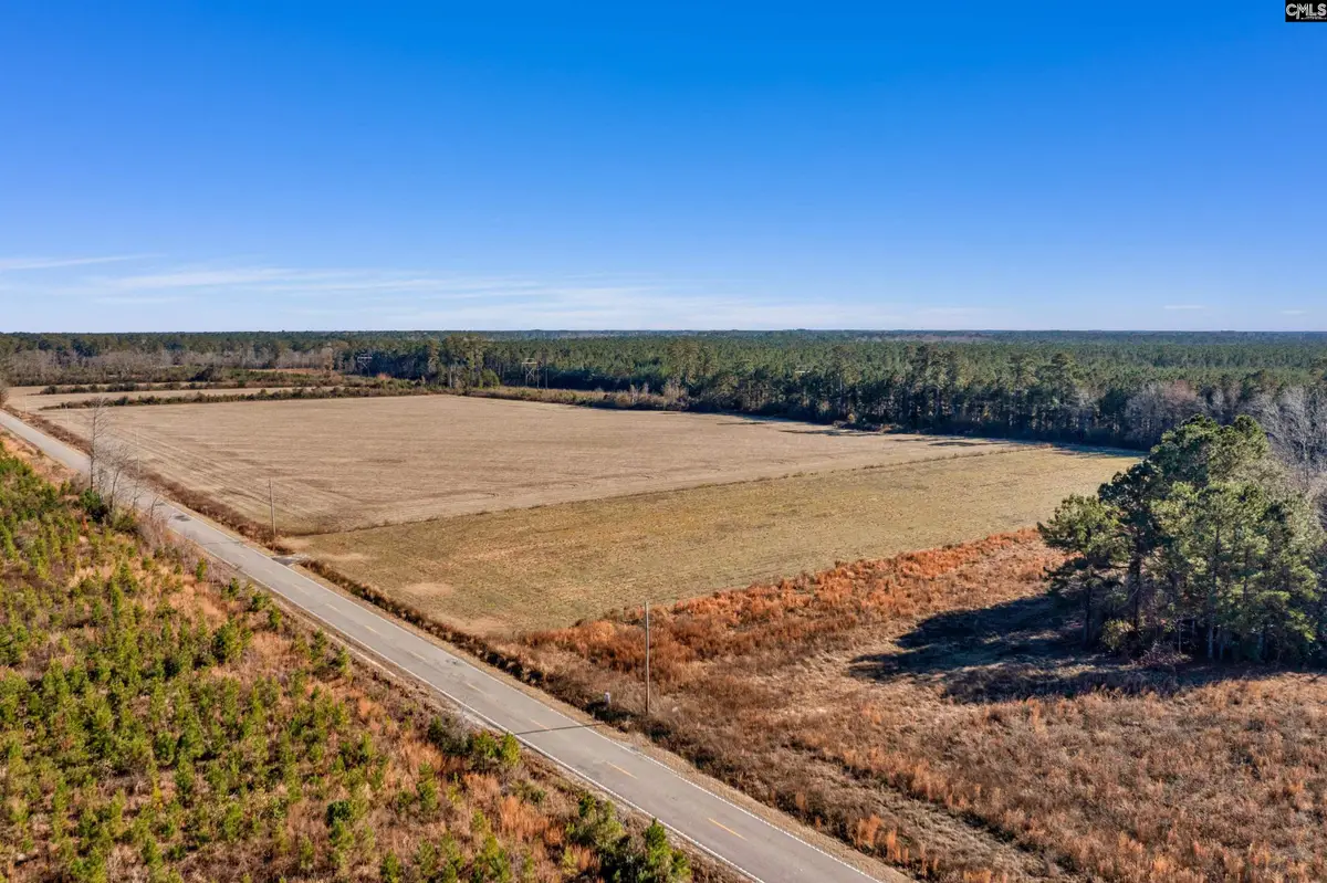 1745 Williams Hill Road, Hemingway, SC 29954 - #1