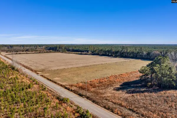1745 Williams Hill Road, Hemingway, SC 29954