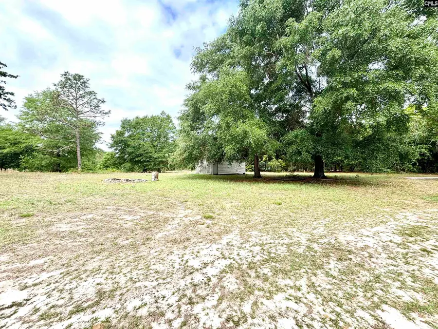 310 Otis Road, Pelion, SC 29123 - #2
