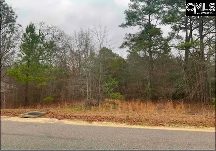 669 Clay Hills Road, Pelion, SC 29123 - #1