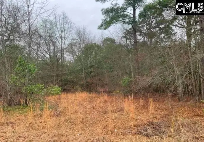 669 Clay Hills Road, Pelion, SC 29123 - #2