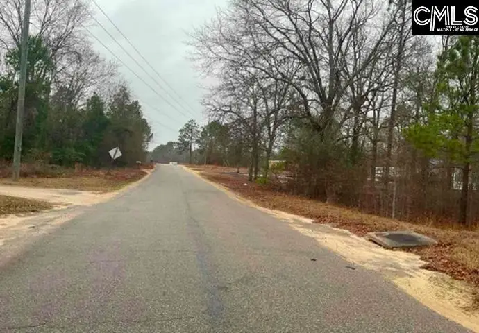 669 Clay Hills Road, Pelion, SC 29123 - #3