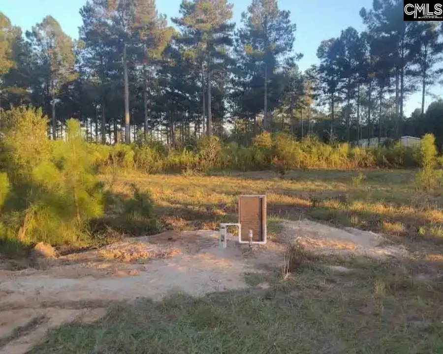 TBD Poinsettia Road, Wagener, SC 29164 - #2