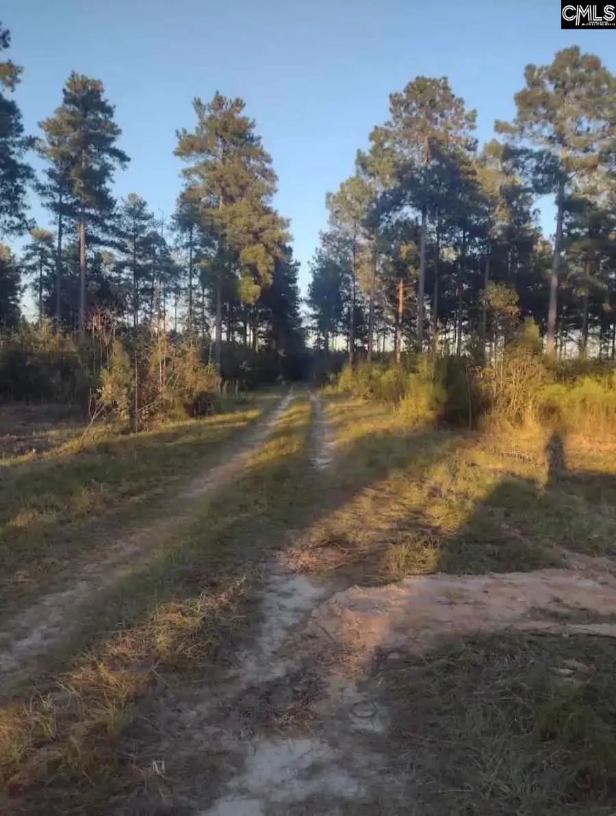 TBD Poinsettia Road, Wagener, SC 29164 - #3
