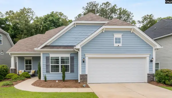 482 Malachite Lane, Chapin, SC 29036