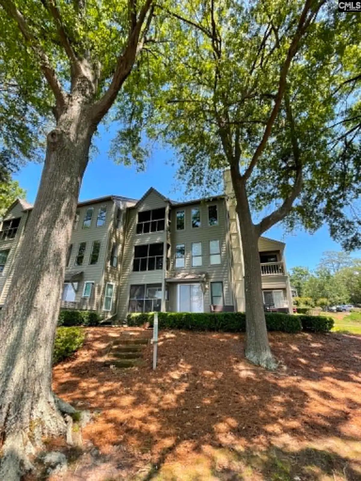 1441 Old Chapin Road #231, Lexington, SC 29072 - #1