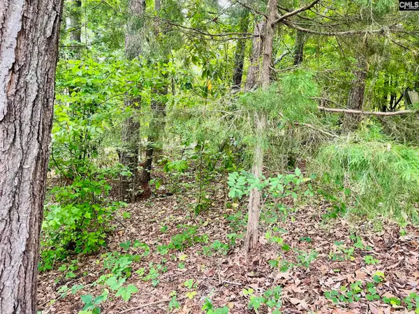 TBD Aiken Street, Leesville, SC 29060