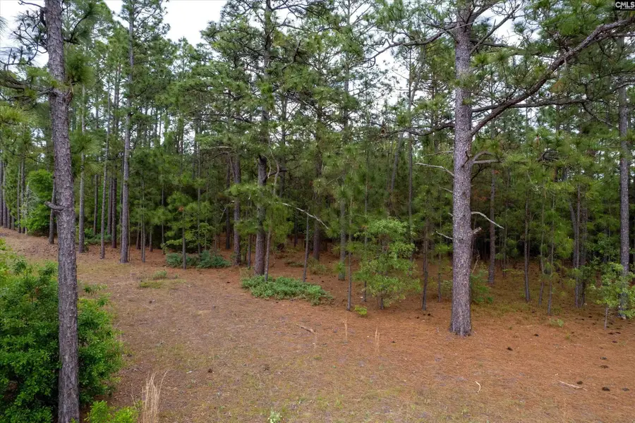 0 Pond Branch Road, Gilbert, SC 29054 - #2