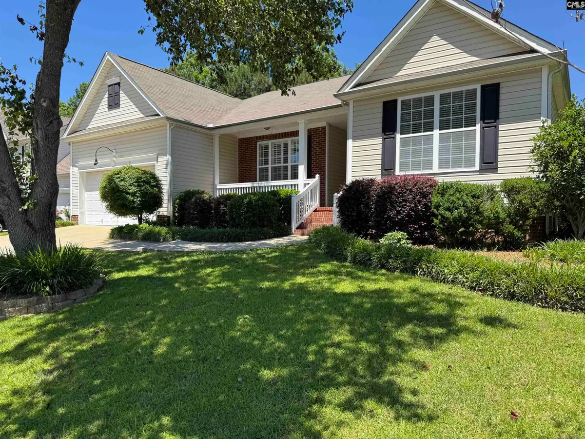 416 Buckthorne Drive, Lexington, SC 29072 - #1
