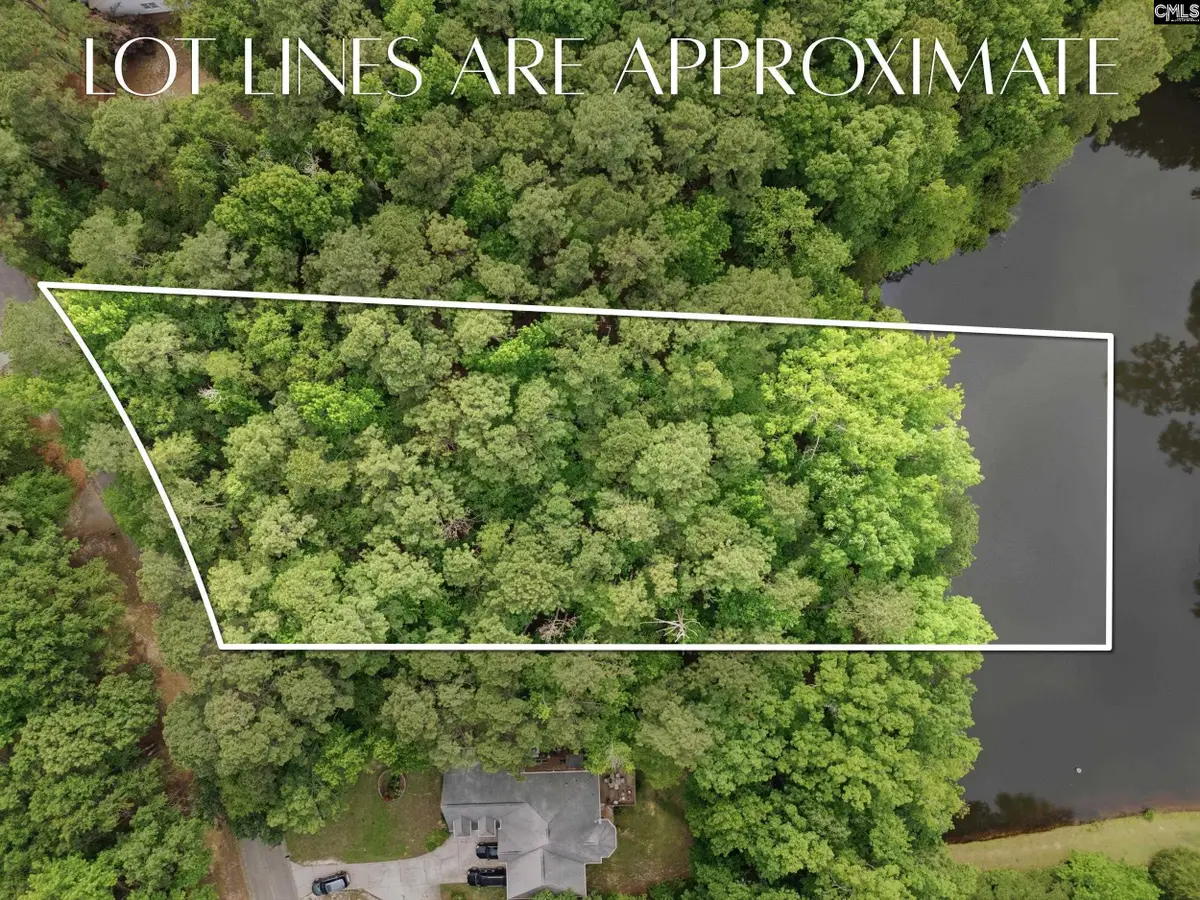 201 Ashley Oaks Drive, Blythewood, SC 29016 - #1