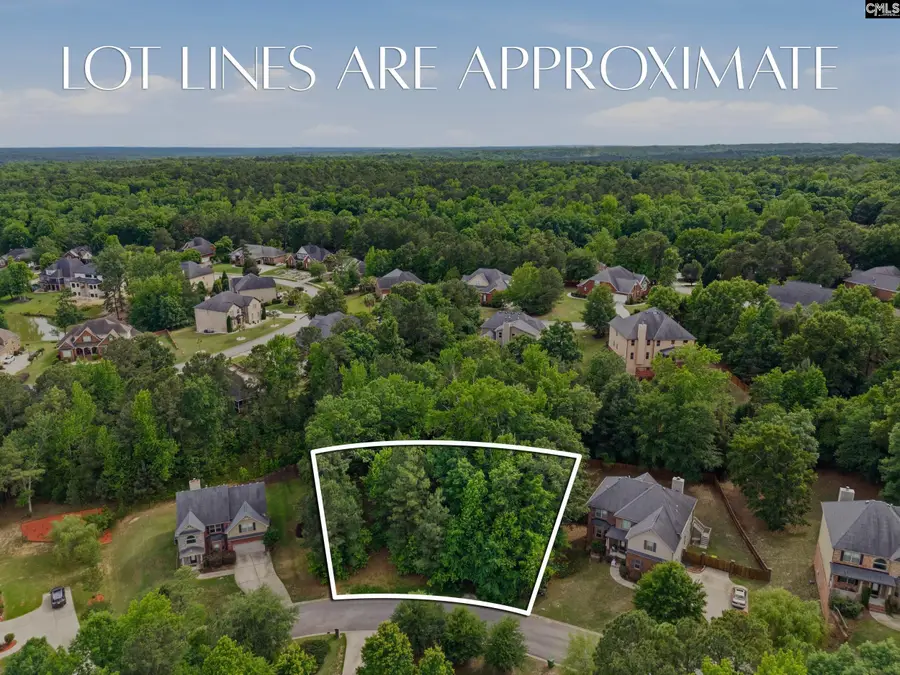 612 Winding Hickory Court, Blythewood, SC 29016 - #2