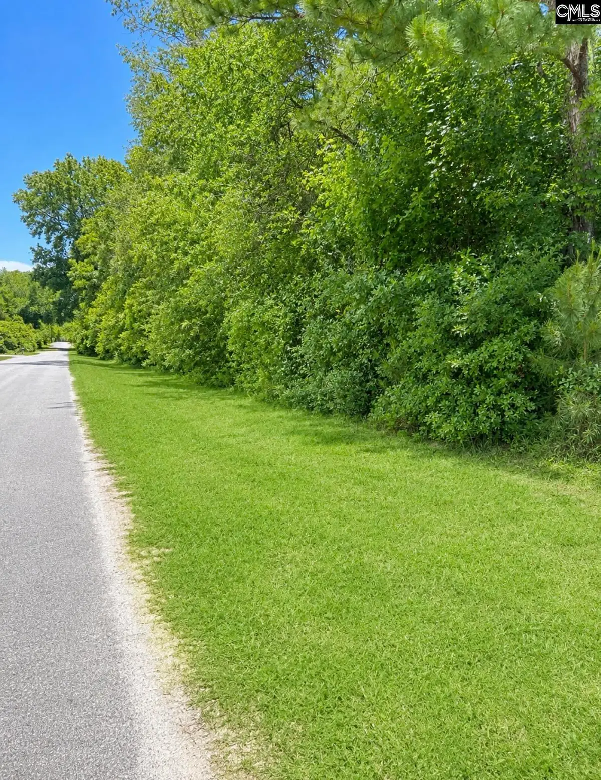 1288 Maple Avenue, Denmark, SC 29042 - #1