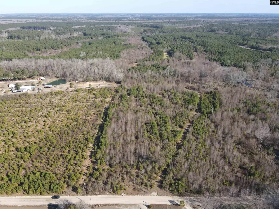 0 Proctor Road, Cope, SC 29038 - #2