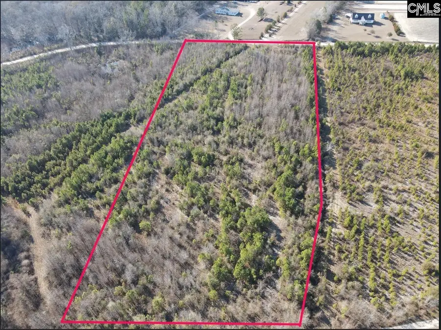 0 Proctor Road, Cope, SC 29038 - #3