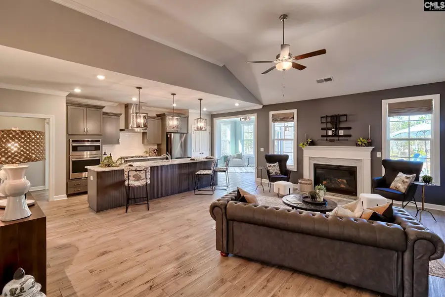 1420 Saugus Court, Chapin, SC 29036 - #3