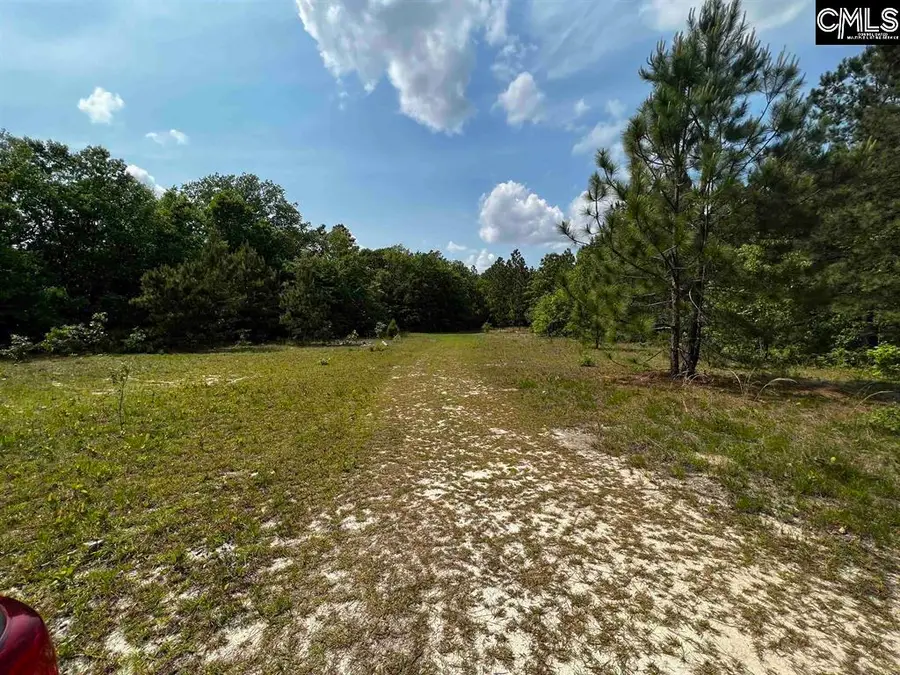 410 Boy Scout Road Road, Gaston, SC 29053 - #2
