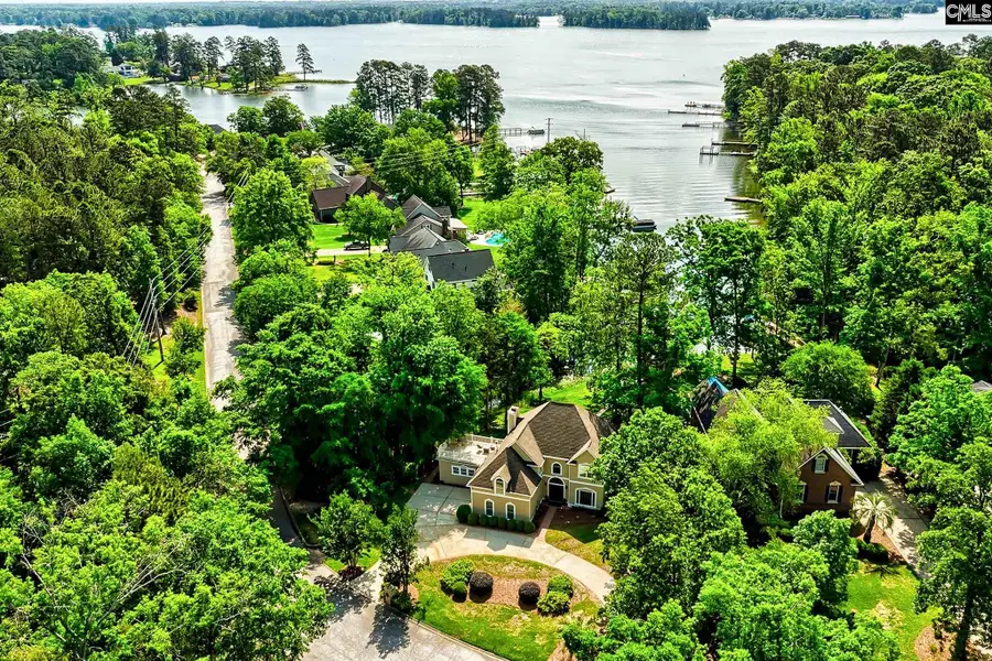 140 Rum Gully Lane, Chapin, SC 29036 - #3