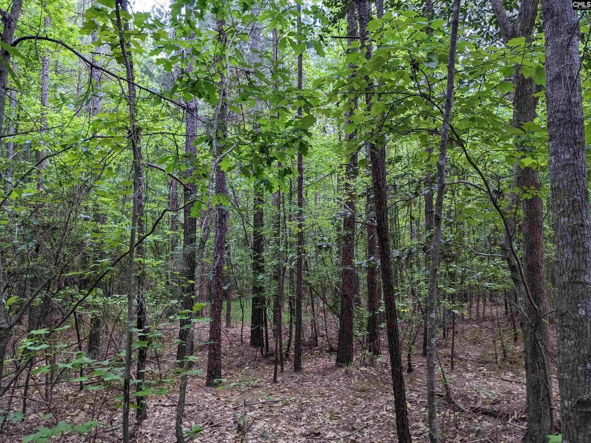 Syrup Mill Road, Ridgeway, SC 29130 - #1