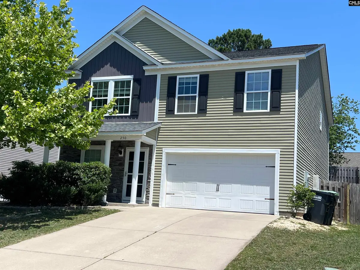 250 Meadow Saffron Drive, Lexington, SC 29073 - #1