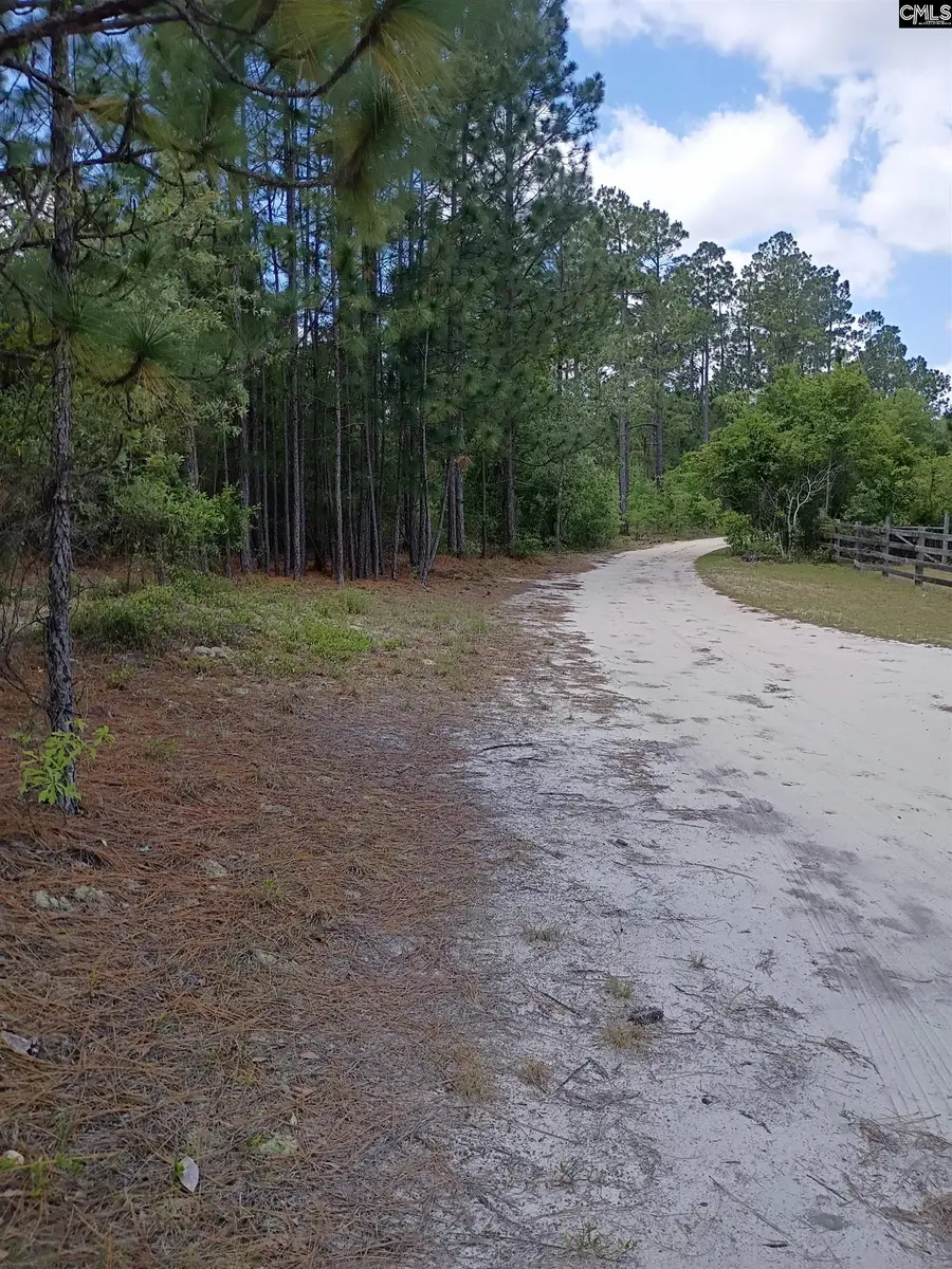 178 Homestead Lane, Society Hill, SC 29520 - #2