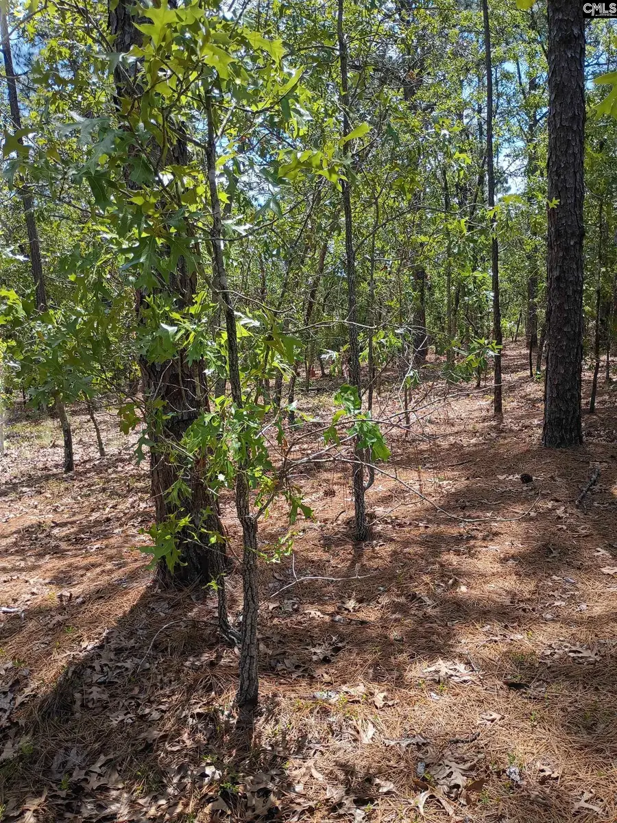 178 Homestead Lane, Society Hill, SC 29520 - #3