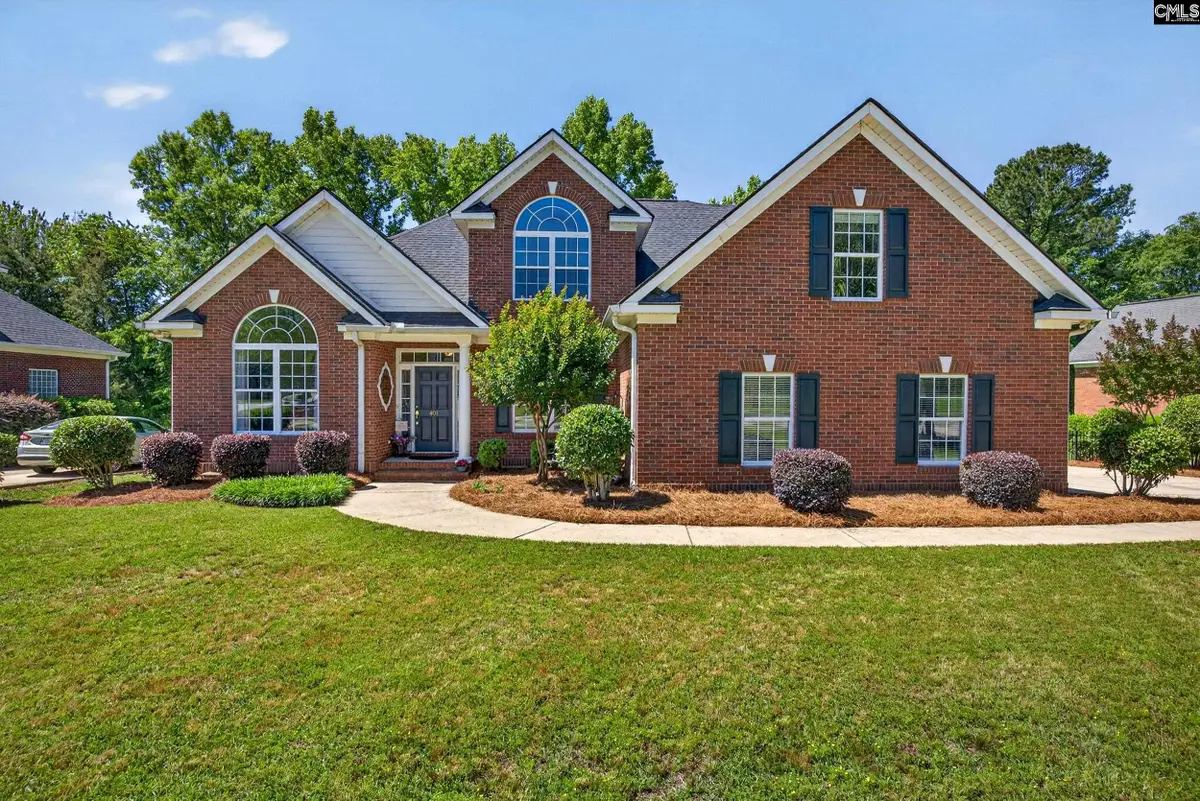 401 Sienna Drive, Chapin, SC 29036 - #1