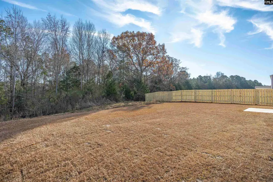 652 Old Charleston Road, Pelion, SC 29123 - #2