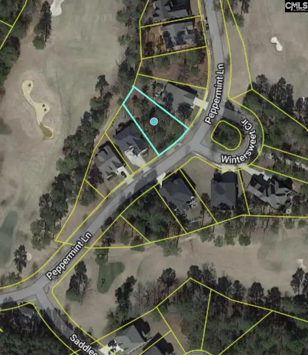 129 Peppermint Lane, Blythewood, SC 29016