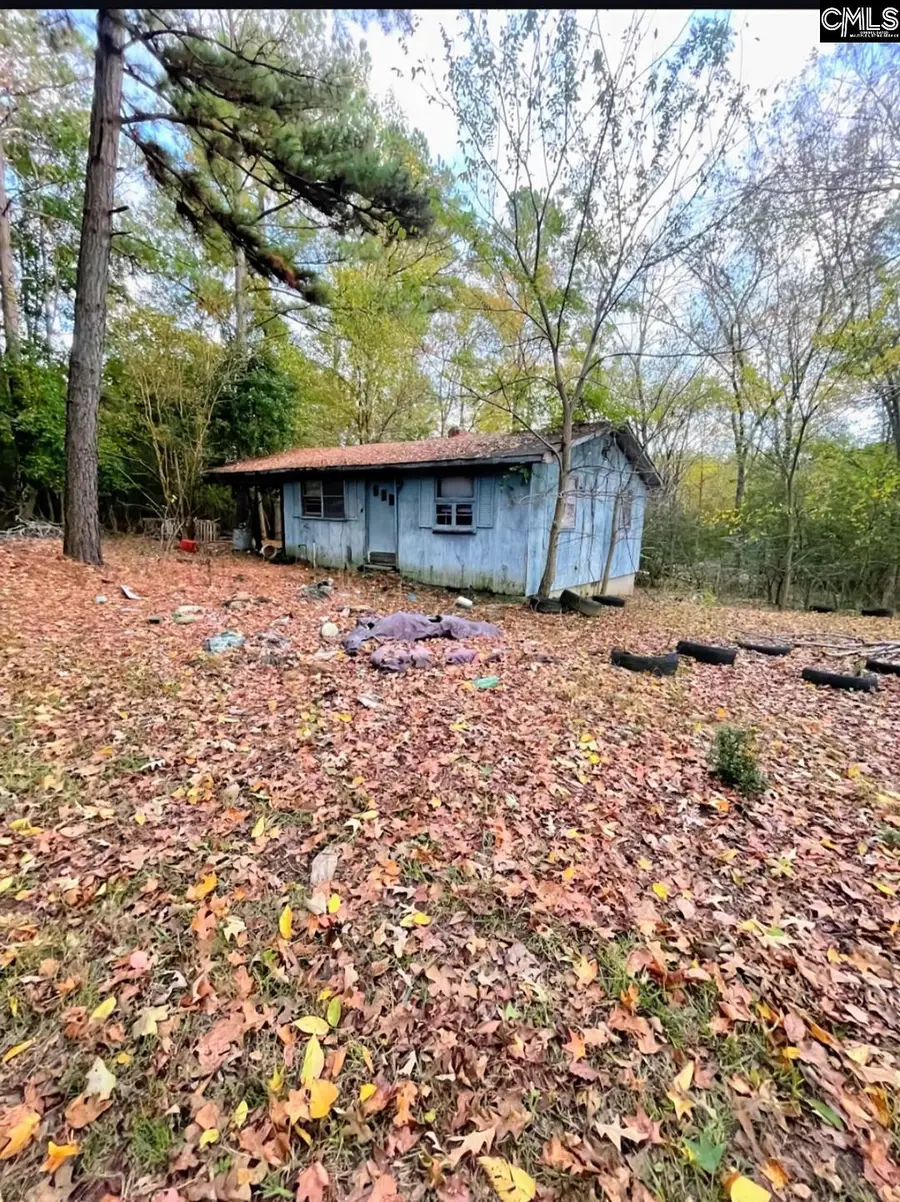 2536 Georgetown Road, Great Falls, SC 29055 - #3