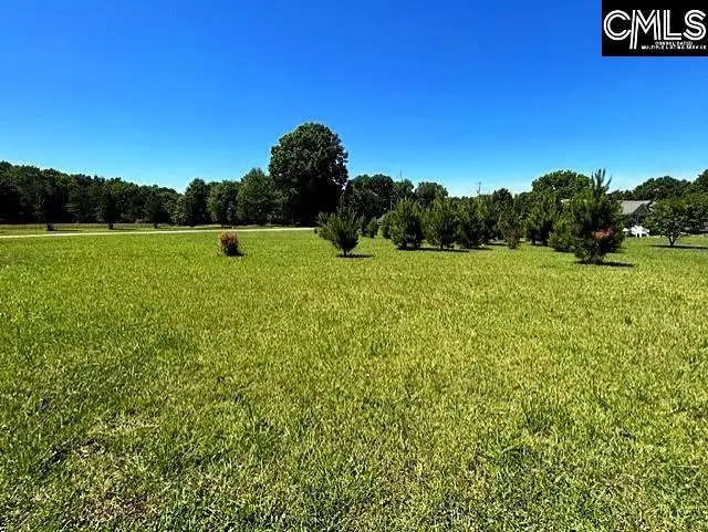 TBD Shady Acres Drive, Chapin, SC 29036 - #1
