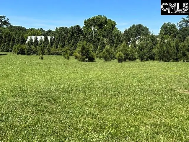 TBD Shady Acres Drive, Chapin, SC 29036 - #2