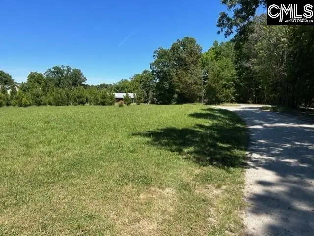 TBD Shady Acres Drive, Chapin, SC 29036 - #3