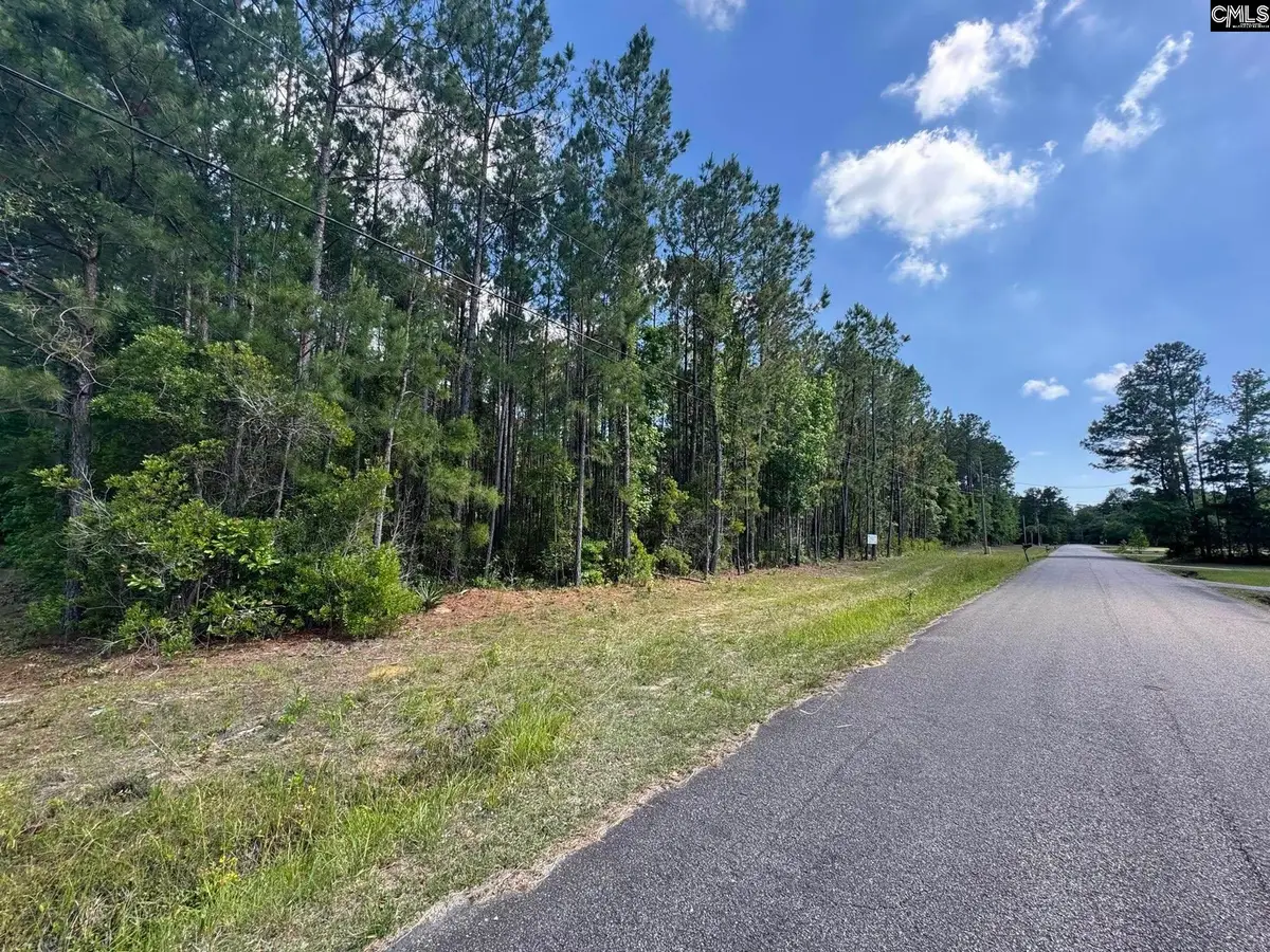 679 Deer Run Avenue, Georgetown, SC 29440 - #1