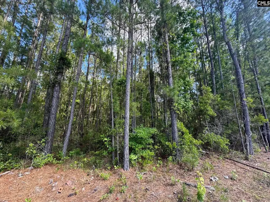 679 Deer Run Avenue, Georgetown, SC 29440 - #3