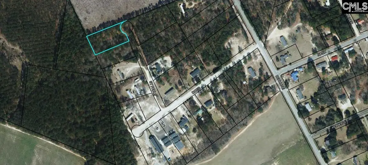 Lot 25 St Paul's Lane #25, Bishopville, SC 29010 - #1