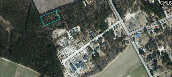 Lot 25 St Paul's Lane #25, Bishopville, SC 29010
