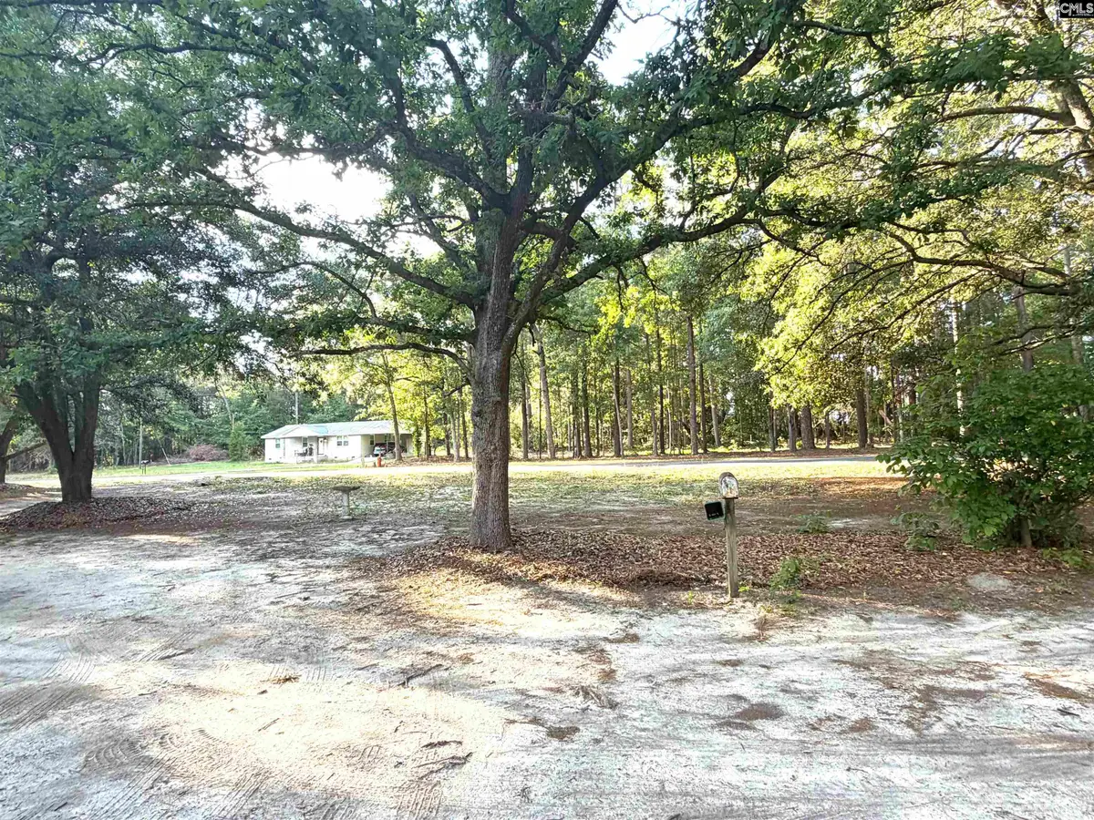 123 Mack Edisto Road, Swansea, SC 29160 - #1
