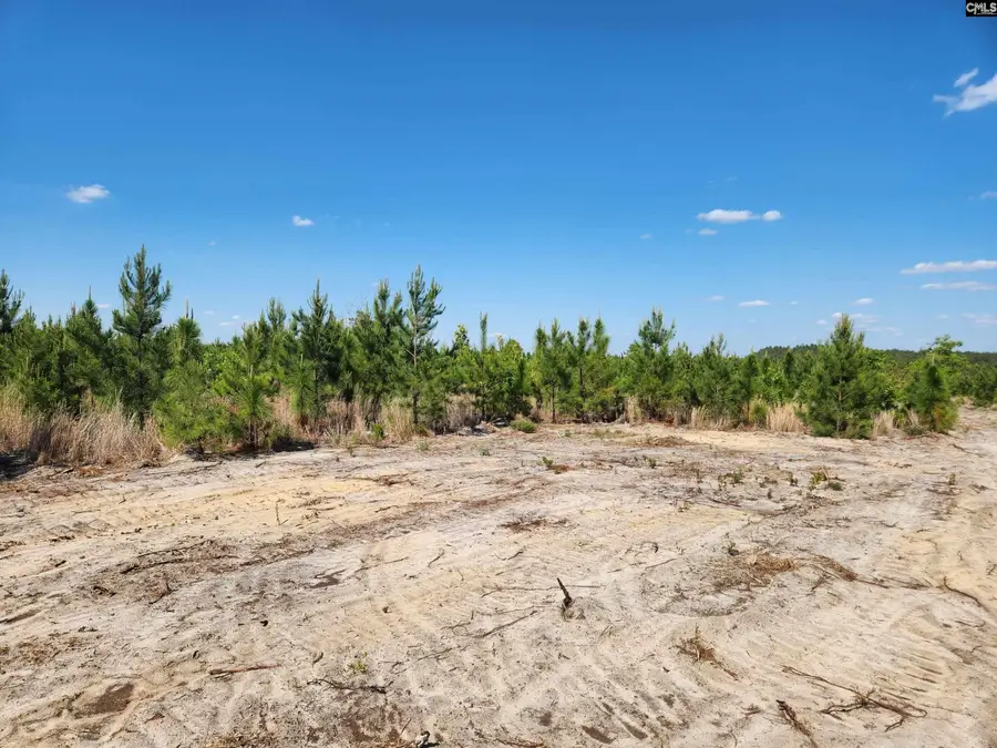 3037 Providence Road, Cassatt, SC 29032 - #2