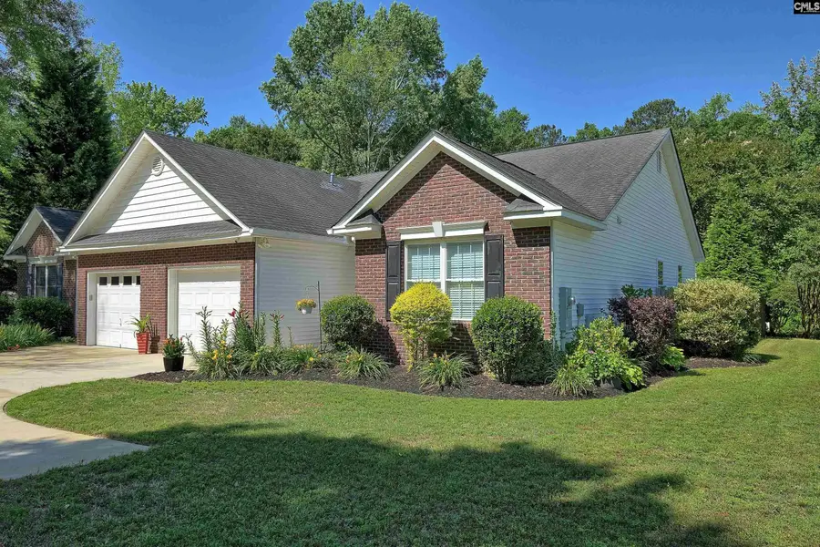 607 Harmon Street, Lexington, SC 29072 - #3