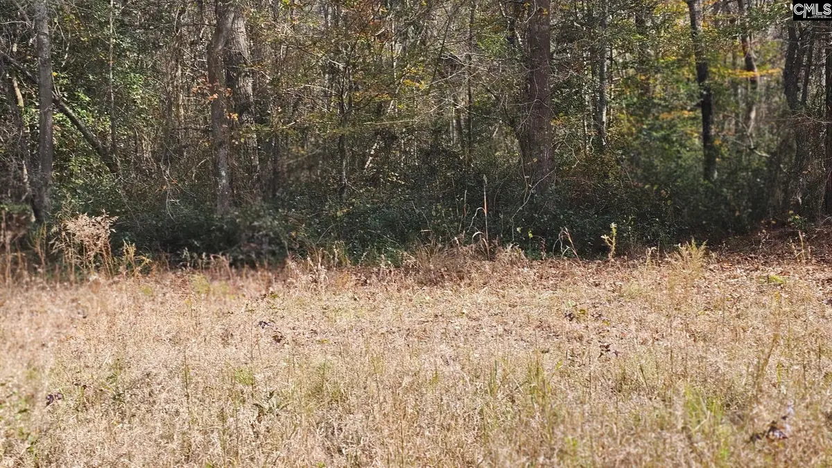 4079 Jefferson Davis Highway, Bethune, SC 29009 - #1
