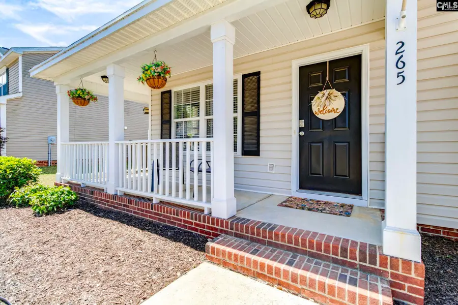 265 Farming Creek Way, Lexington, SC 29072 - #3