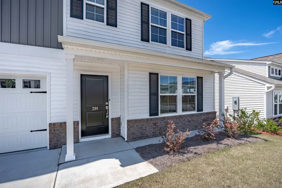 391 Aldergate Drive, Lexington, SC 29073 - #3