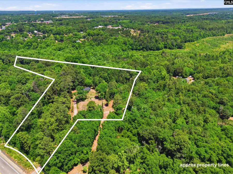 1605 S Lake Drive, Lexington, SC 29073 - #3