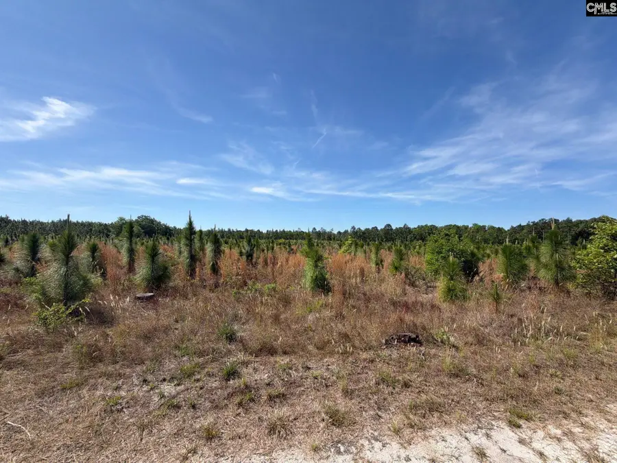 HRF 1 Holstein Road, Wagener, SC 29164 - #2